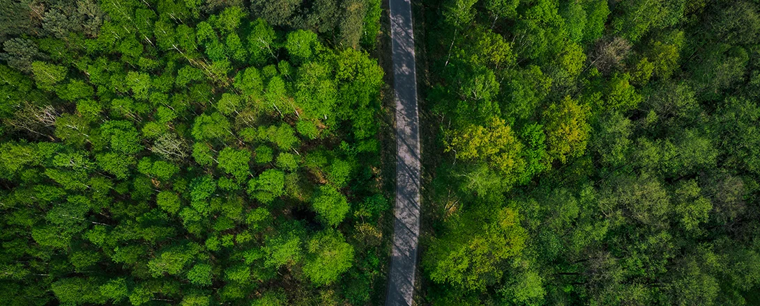 Widok z powietrza na las i wąską drogę