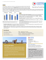 Aperçu réduit d'une page du rapport d'étude de cas Cestoil CDR2081