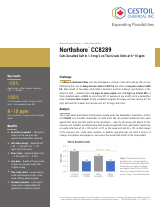 Small first-page preview of the Northshore CC8289 case study report
